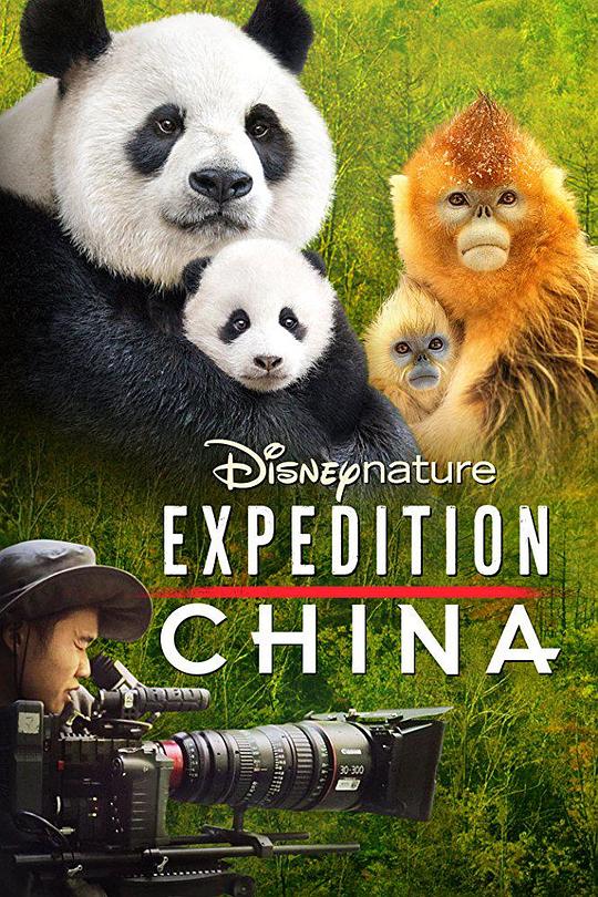 探险中国 海报