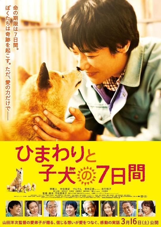 向日葵与幼犬的7天 海报