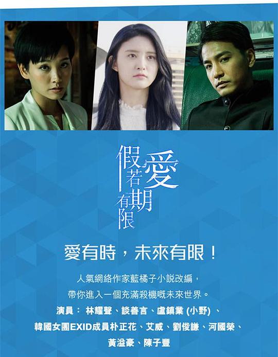 假如爱有期限 海报