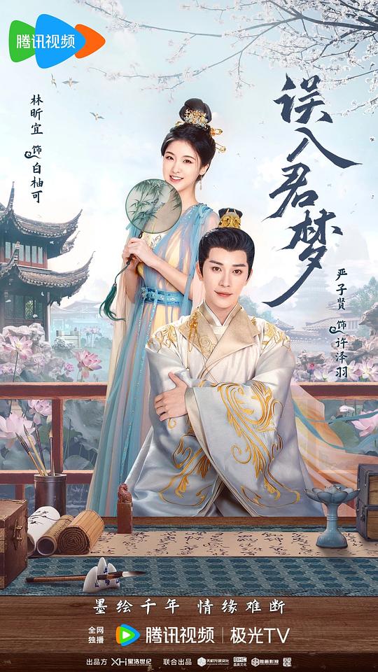 误入君梦 海报
