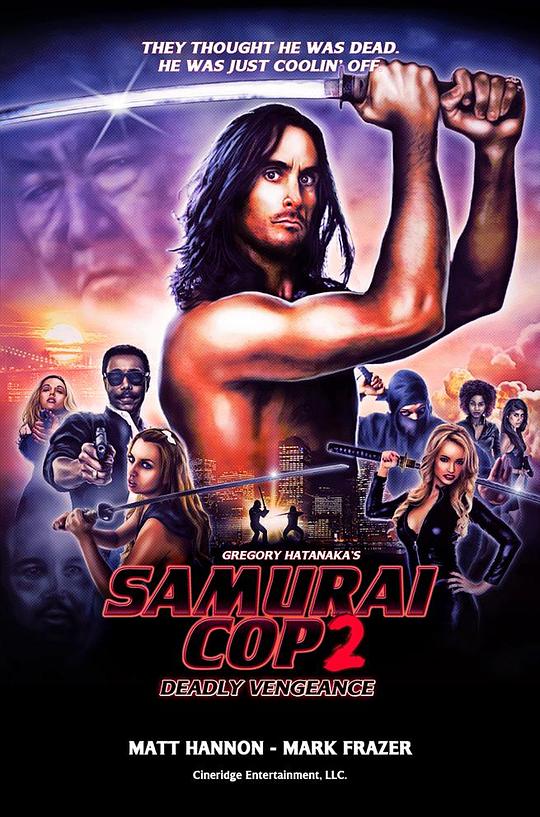 武士警察2：致命复仇 海报