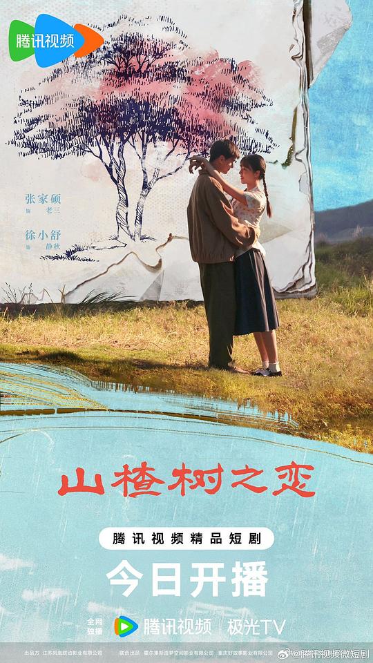 山楂树之恋 海报