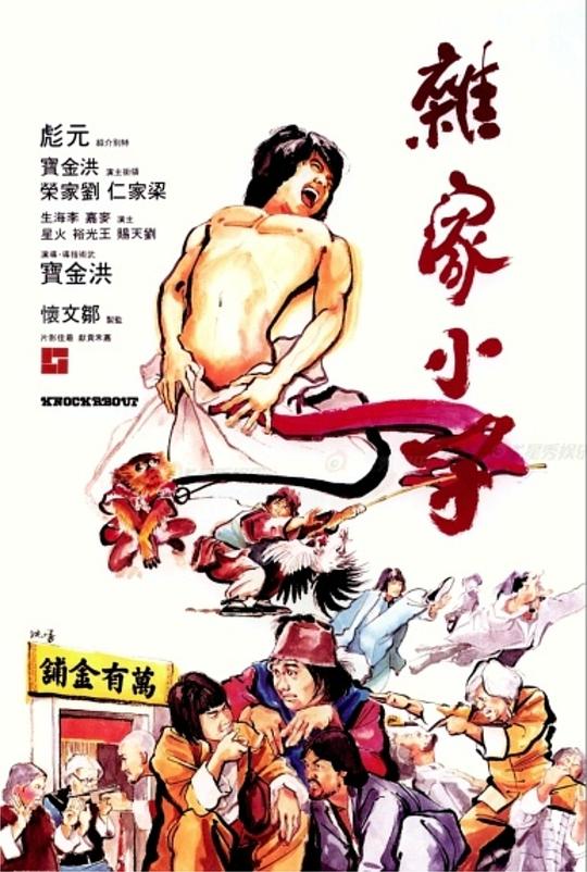 杂家小子 海报