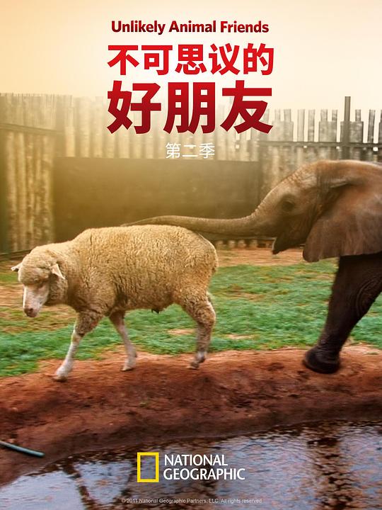 不可思议的好朋友 第二季 海报