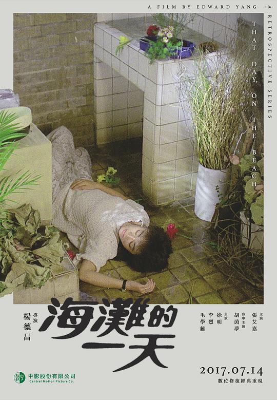 海滩的一天 海报