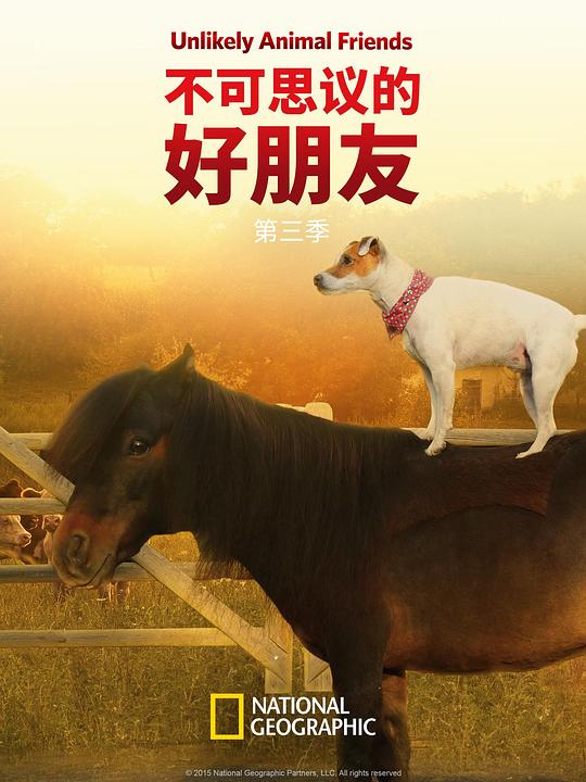 不可思议的好朋友 第三季 海报