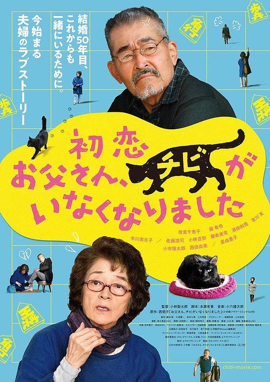 只有猫知道 海报