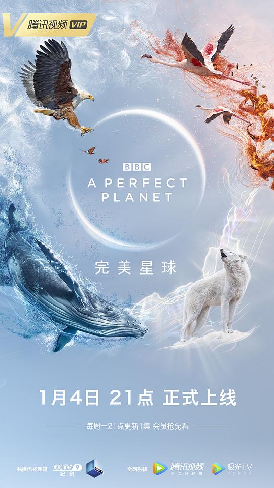 完美星球 海报