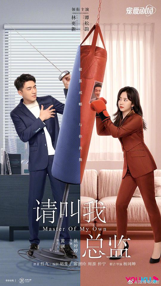 请叫我总监 海报