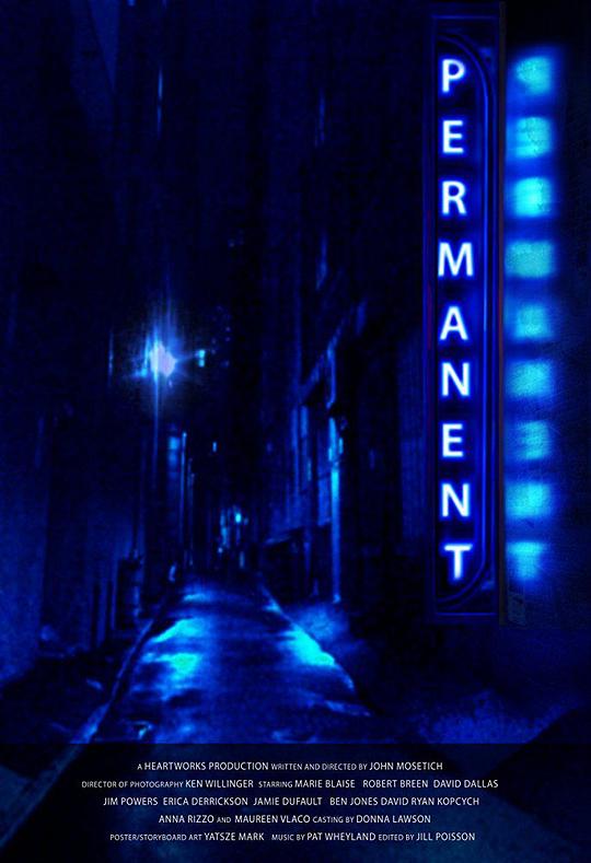Permanent 海报
