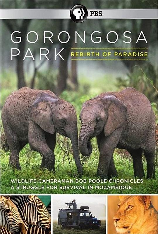 Gorongosa Park: Rebirth of Paradise 海报