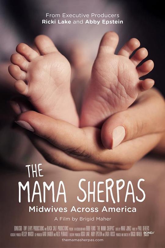 The Mama Sherpas 海报