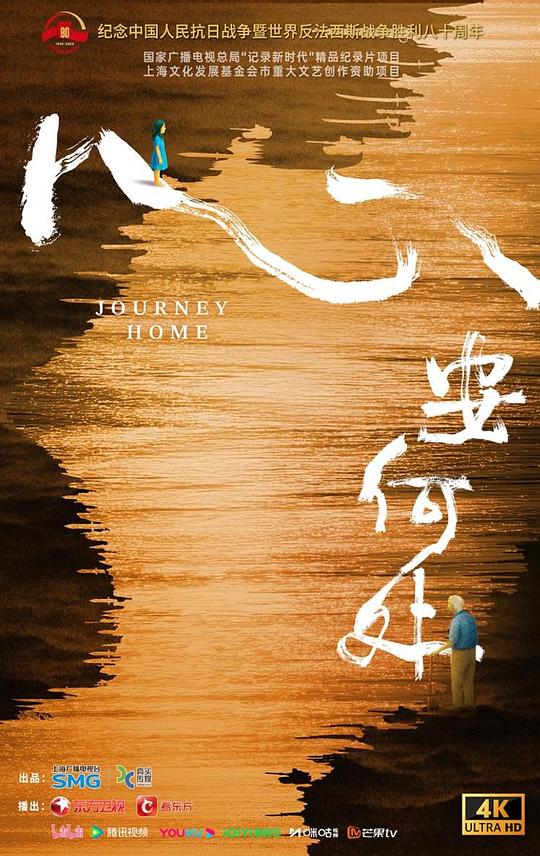 心安何处 海报