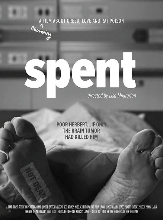 Spent 海报