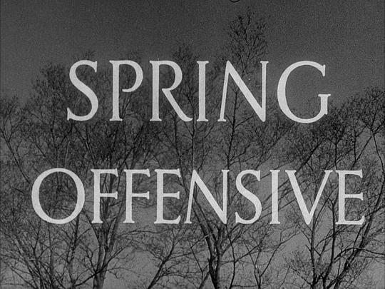 Spring Offensive 海报