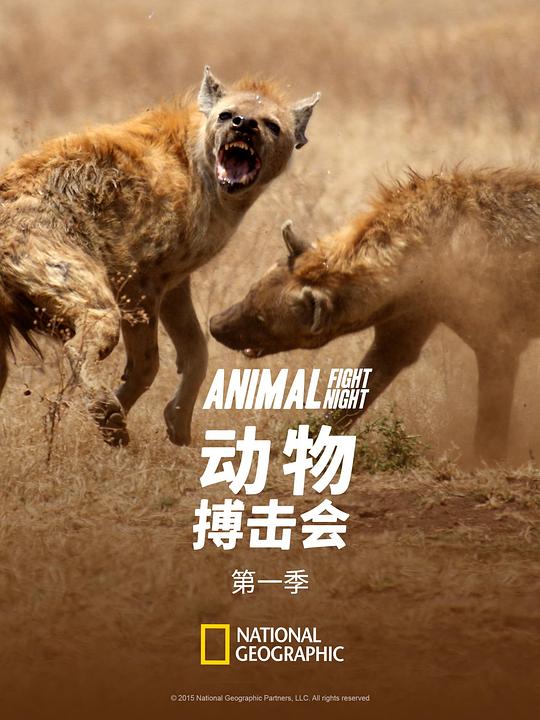 动物搏击会 第一季 海报