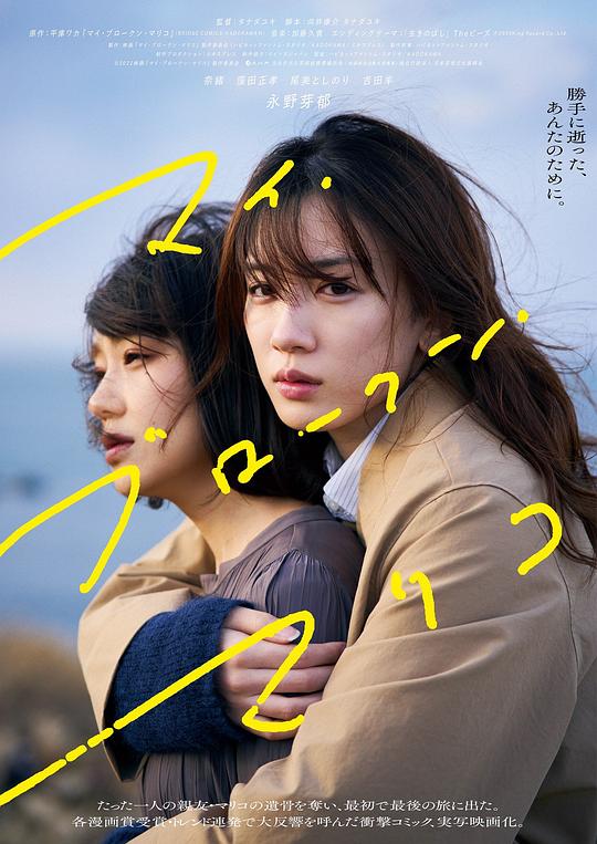 我破碎的真理子 海报