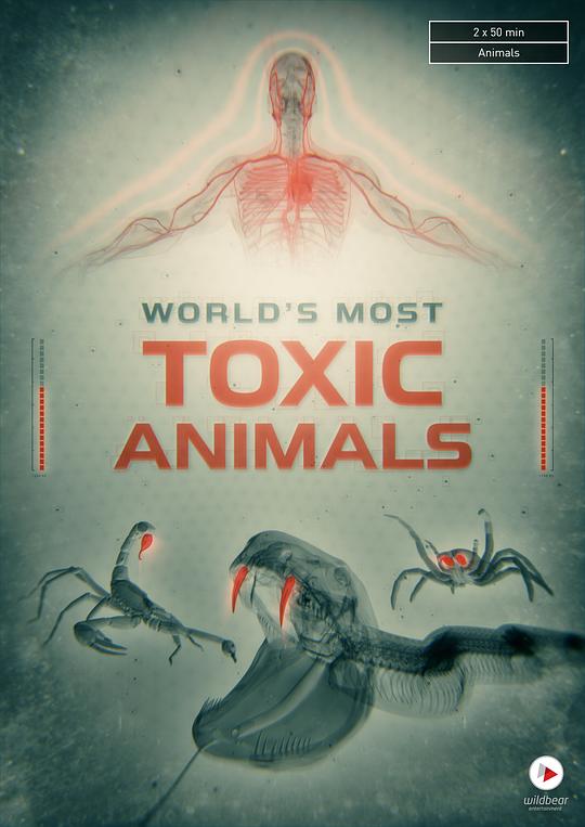 世界上最毒的动物 第一季 海报