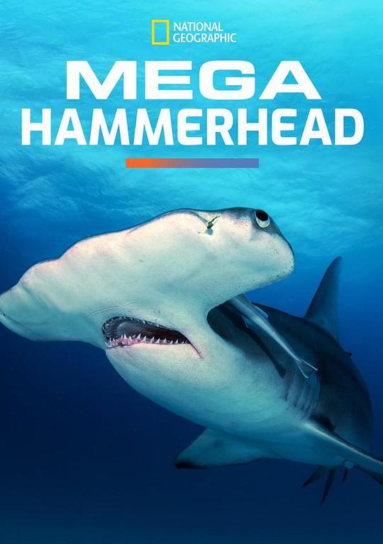 Mega Hammerhead 海报