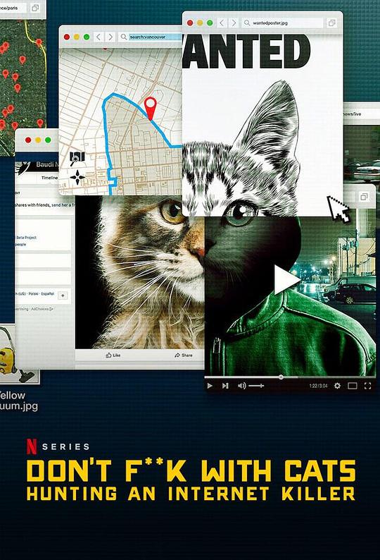 别惹猫咪：追捕虐猫者 海报