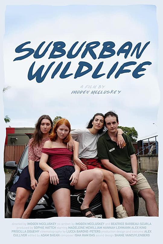Suburban Wildlife 海报
