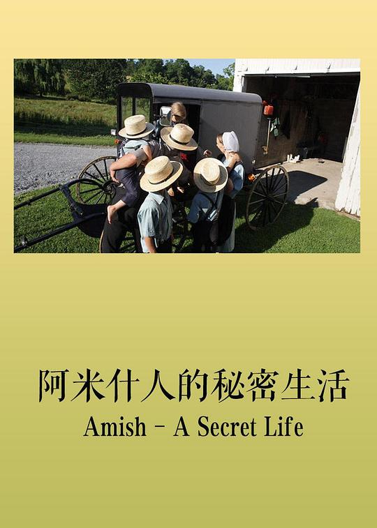 阿米什：秘密的生活 海报