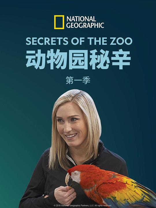 动物园的秘密 第一季 海报