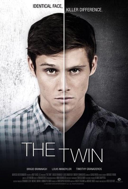 The Twin 海报