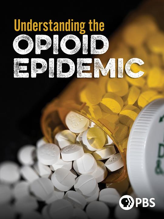 Understanding the Opioid Epidemic 海报