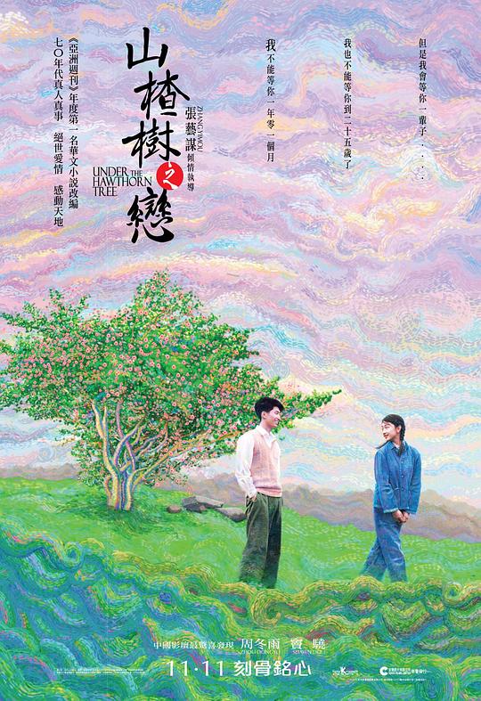 山楂树之恋 海报