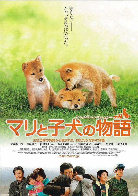 爱犬的奇迹 海报