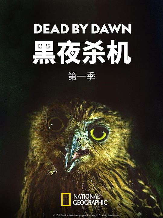 黑夜杀机 第一季 海报