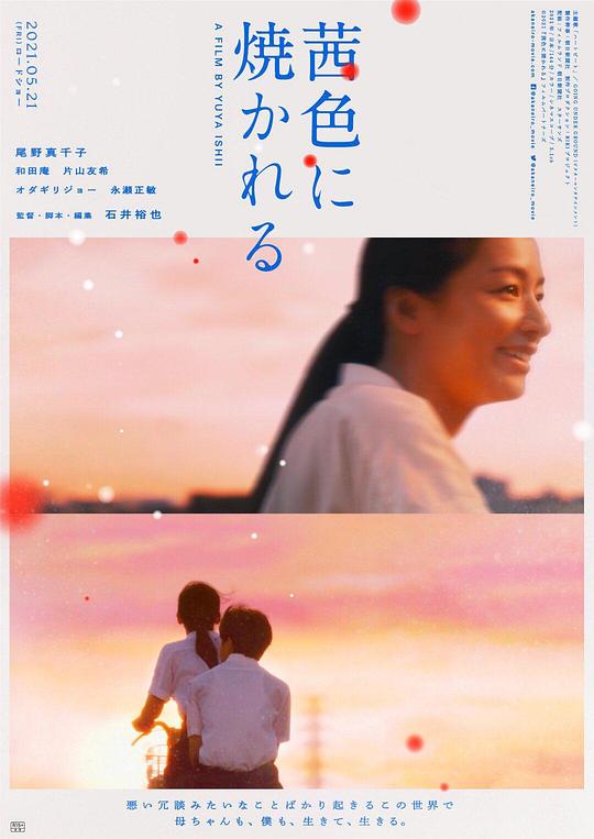 茜色如烧 海报