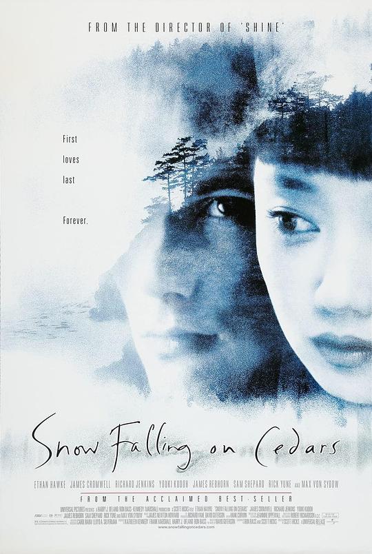 落在香杉树的雪花 海报