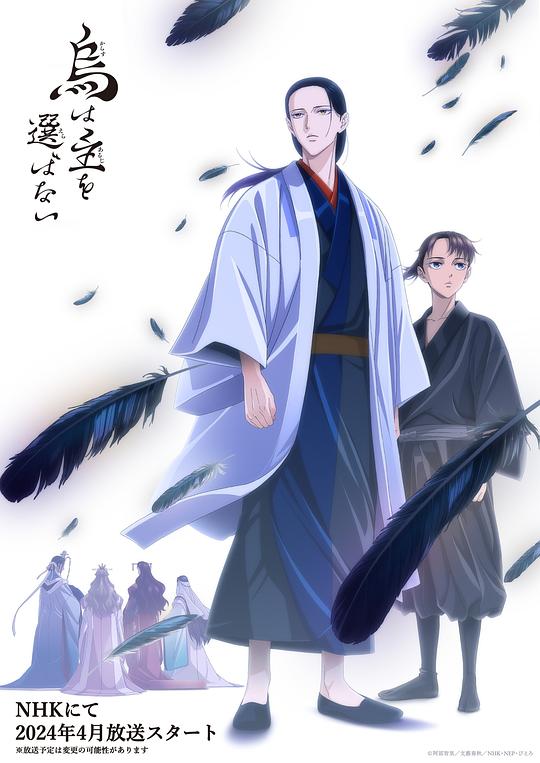 乌鸦不择主 海报