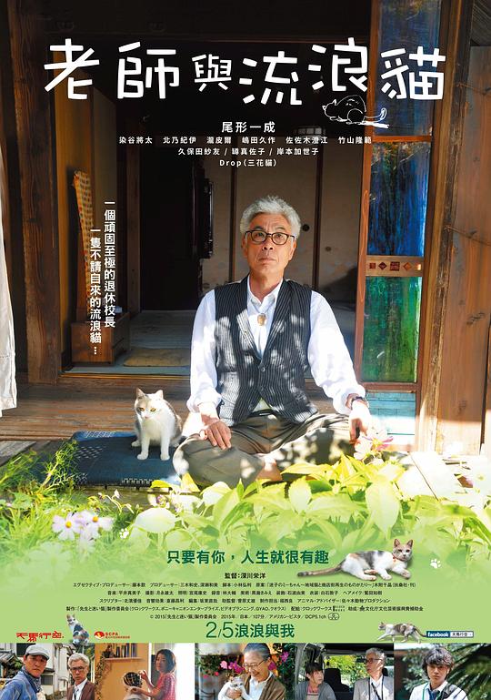 老师与流浪猫 海报
