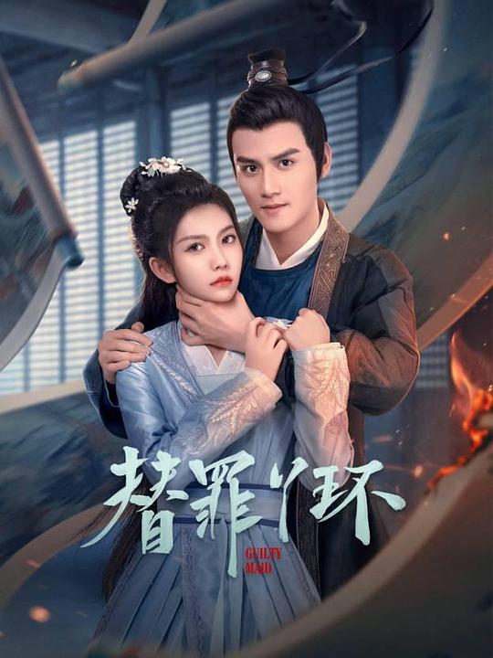 替罪丫环 海报
