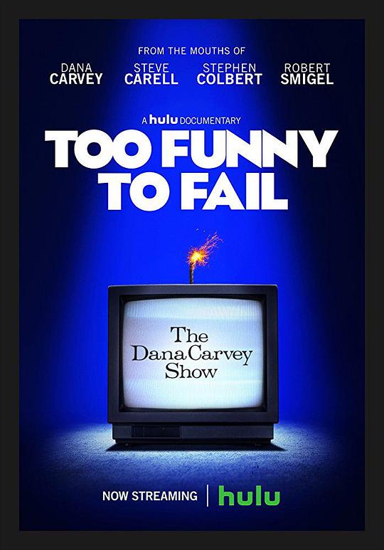 Too Funny To Fail 海报