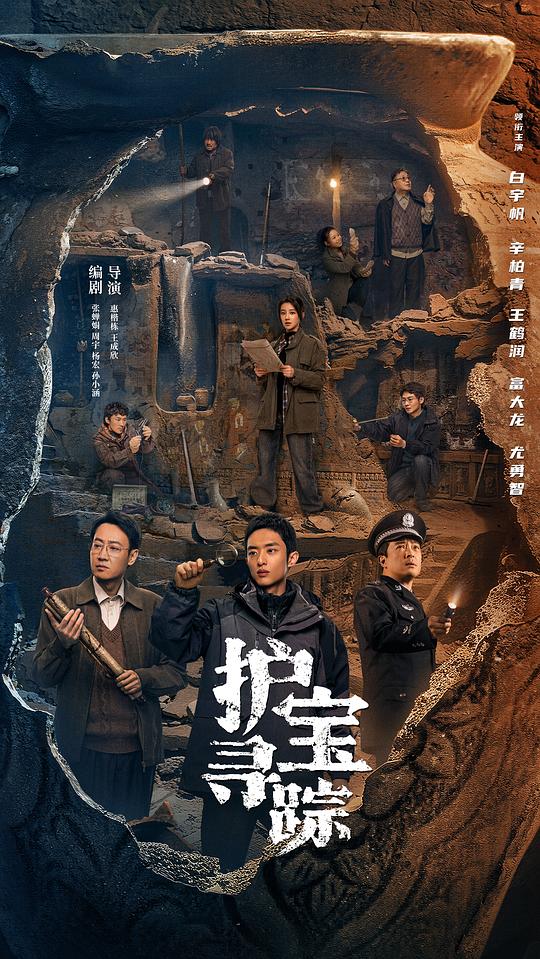护宝寻踪 海报