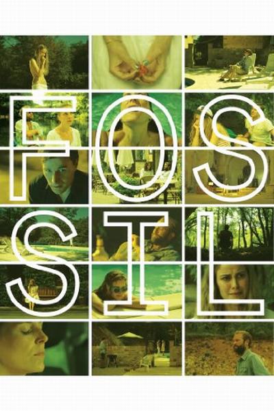 Fossil 海报