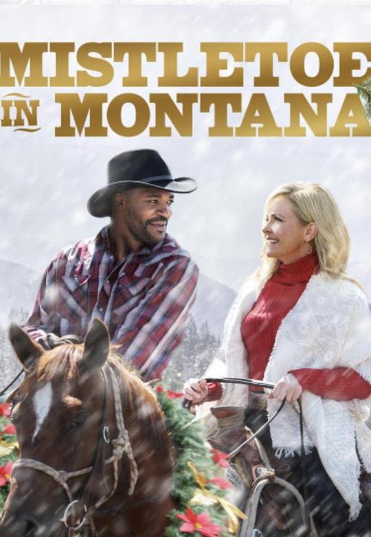 Mistletoe in Montana 海报