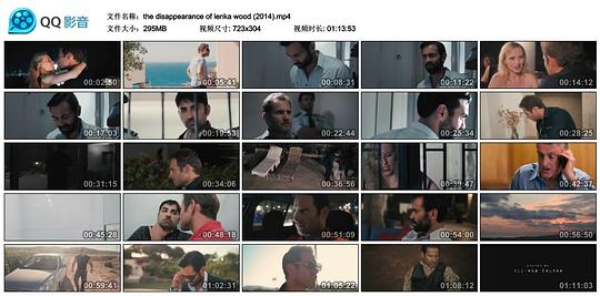 the disappearance of lenka wood 海报