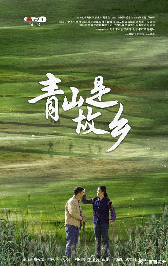 青山是故乡 海报