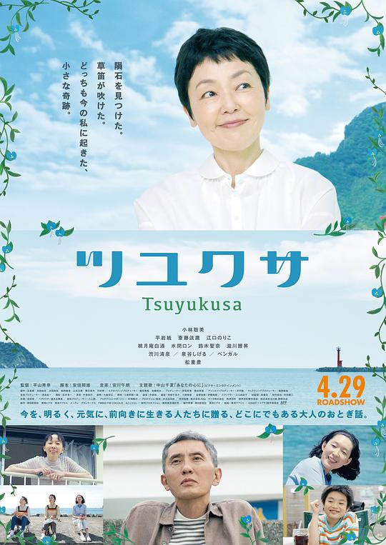 鸭跖草 海报