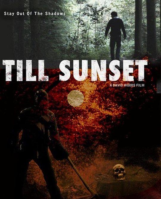 Till Sunset 海报
