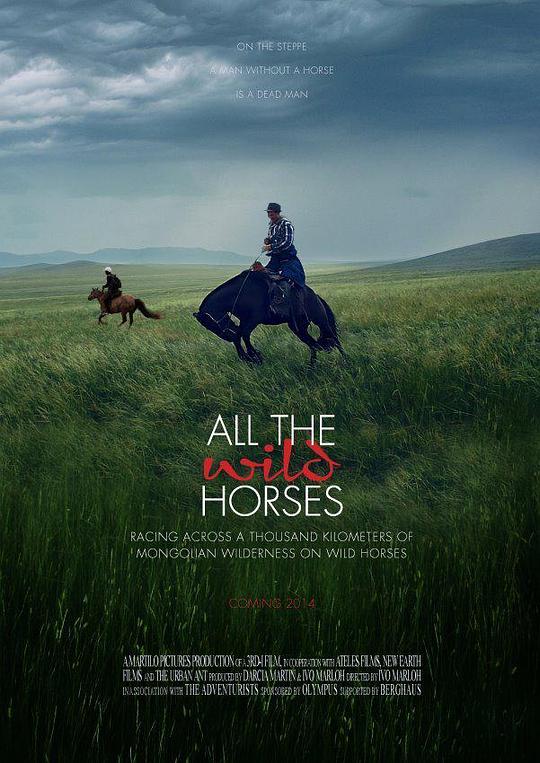All the Wild Horses 海报