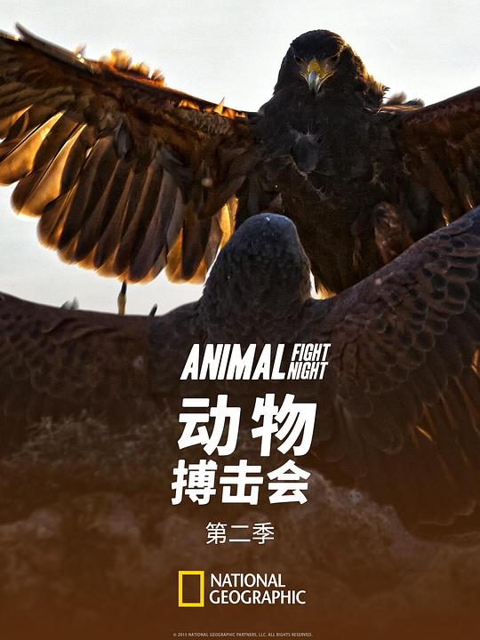 动物搏击会 第二季 海报