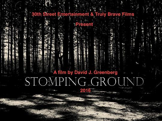 Stomping Ground 海报