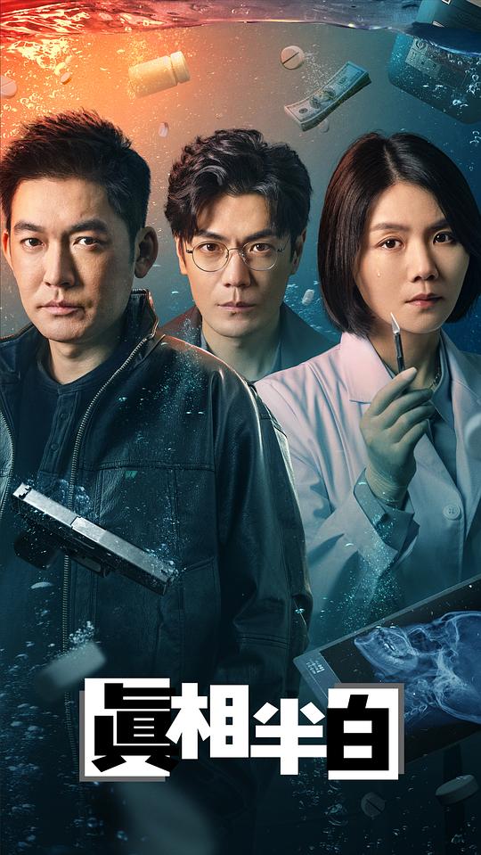 真相半白 海报