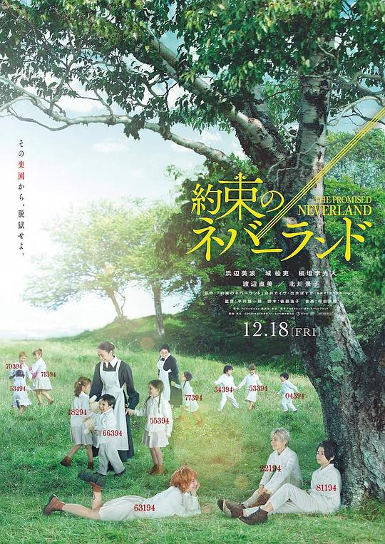 约定的梦幻岛 海报
